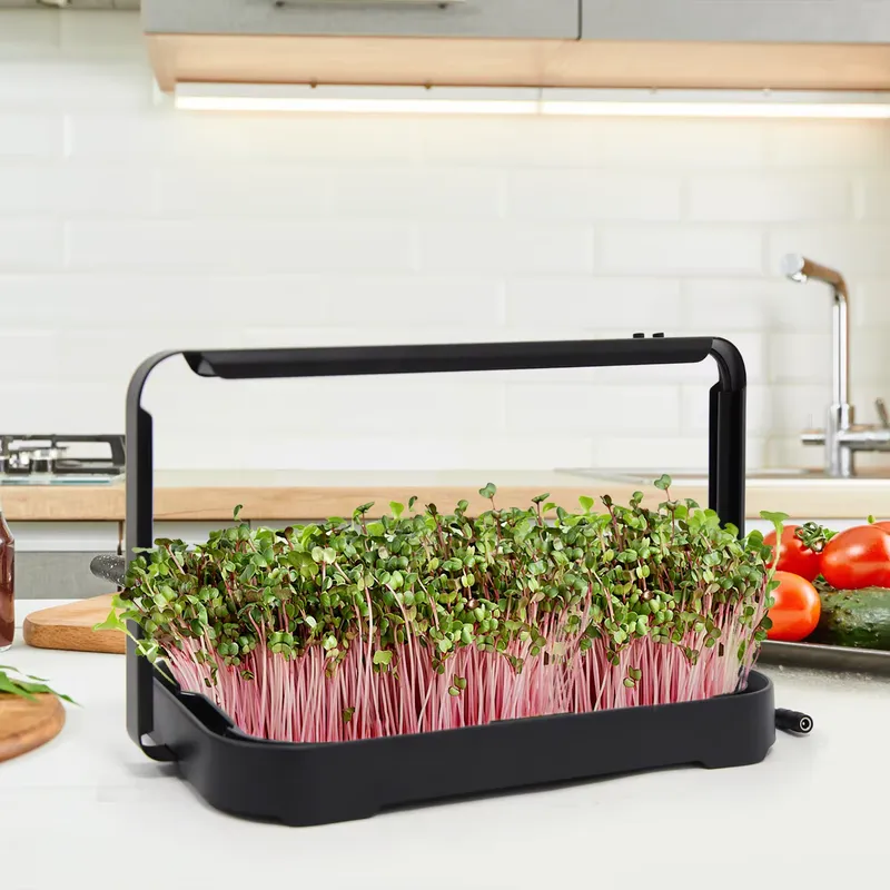 Smart Garden System - ถาดปลูกผักไฮโดรโพนิกสำหรับปลูกไมโครกรีนในร่ม ชุดปลูกเมล็ดไมโครกรีน ระบบปลูกผักอัจฉริยะ