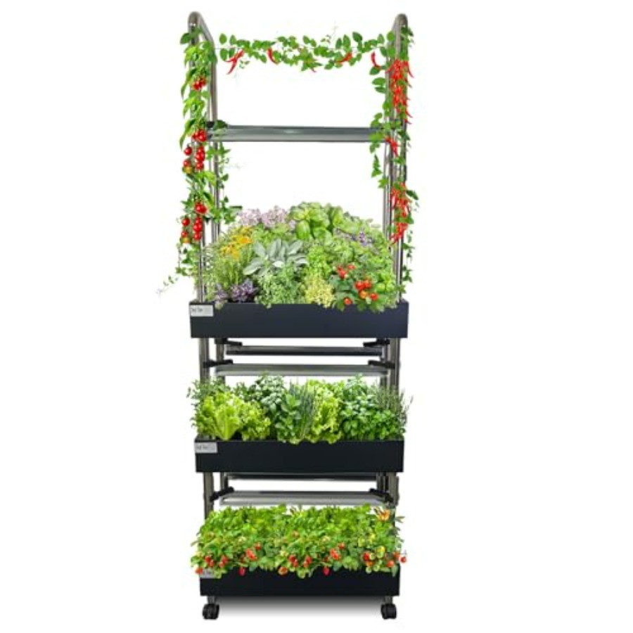 ระบบปลูกพืชไฮโดรโปนิกส์ในร่ม:  - Smart Garden System บทวิจารณ์และราคา