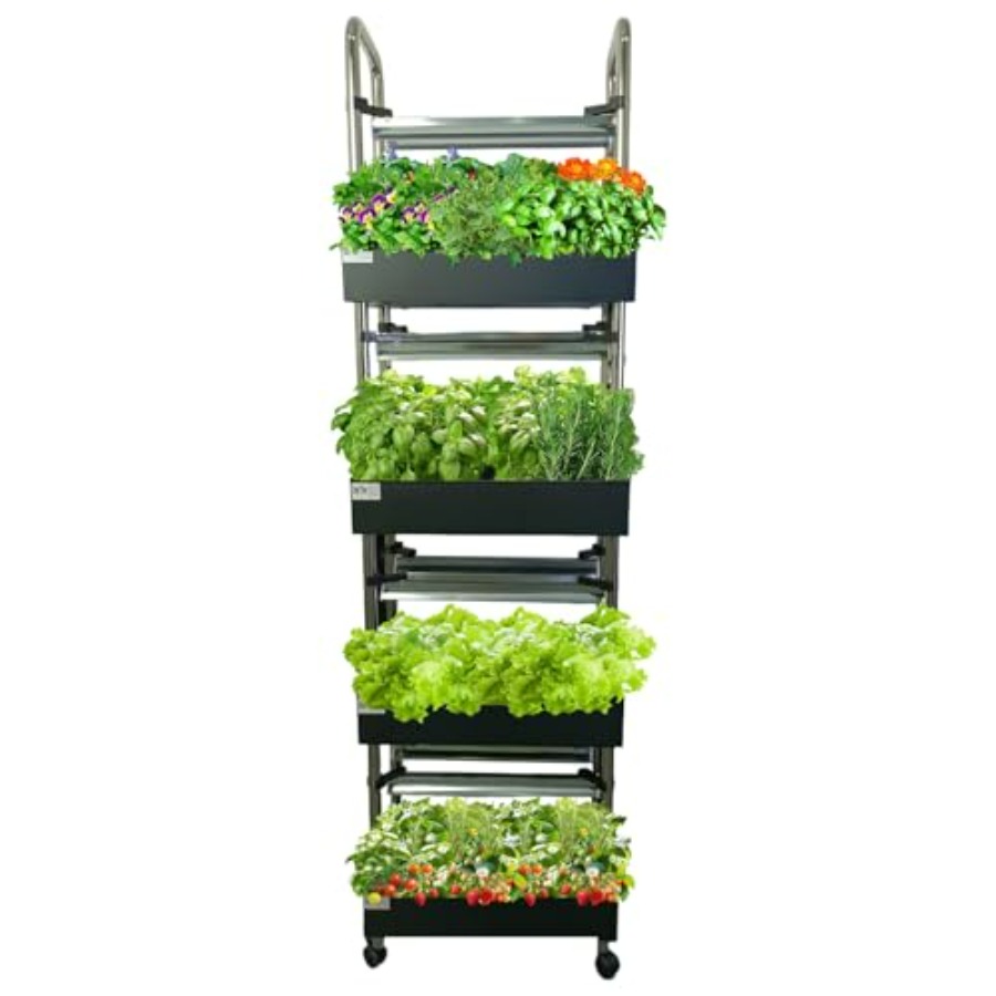 ระบบปลูกพืชไฮโดรโปนิกส์ในร่ม:  - Smart Garden System บทวิจารณ์และราคา